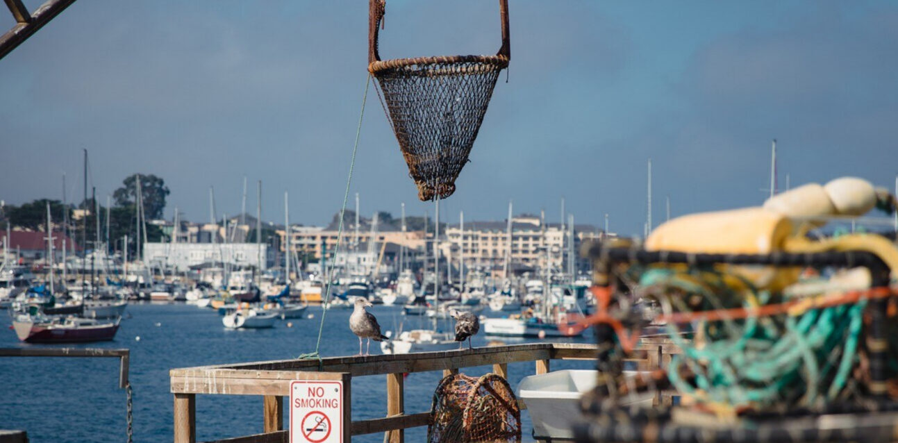 parc-ostreicole-incendie