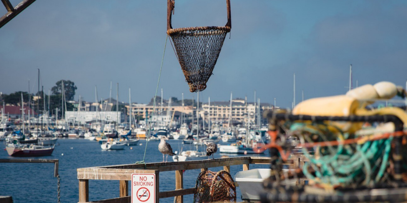 parc-ostreicole-incendie